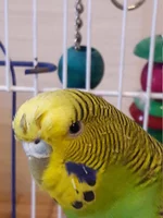 20170114_120903.webp