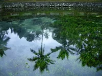 CIMG2023[1].webp