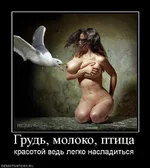 942571_grud-moloko-ptitsa.webp
