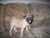 2009 002.webp