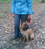 janik1.webp