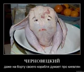 ckmeakdgpm9j.webp