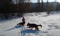 20170123_125152.webp