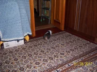 100_6945.webp