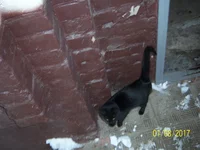 100_6941.webp