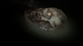 Resident Evil 7 01.30.2017 - 16.44.04.01.jpg