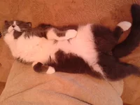20140429_163406.webp