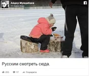 3985892d3d4a1a1b.webp