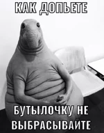 wx1080.webp