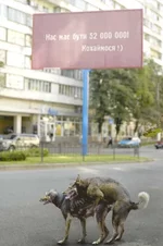 52 миллиона.webp