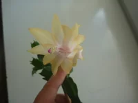 P1030486.webp