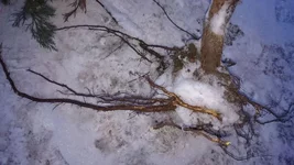 DSC_0428.webp DSC_0428.webp