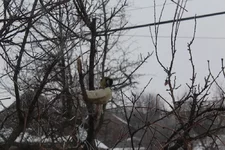 IMG_5847_1.webp