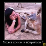 FgfwzW4DE8uwGdaLp1aI0buhqqTS_svbAhhhpRCaMXeesFHnuy11PibgOJAV2cMx6hhpWQ--_500x500x100.jpg