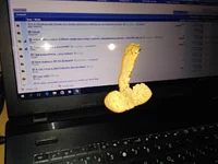 image.webp