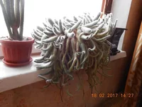 DSCN1097.webp