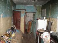 IMG_1513.jpg