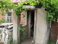 IMG_1524.jpg