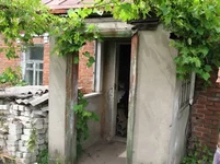 IMG_1524.webp