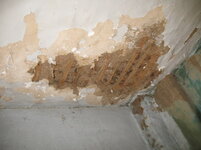 IMG_1525.jpg