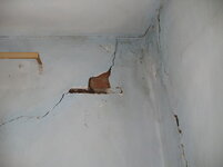 IMG_1526.jpg