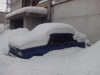подснежник.jpg