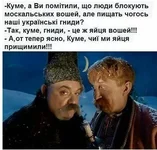 Воши.jpg