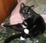 2009Мервину 11лет.webp