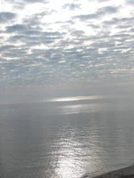 IMG_6373.webp