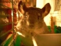 DSCN0898.webp
