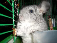 DSCN0901.jpg