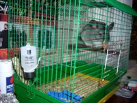 DSCN0910.webp