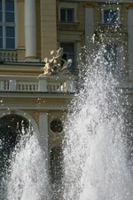 IMG_0198.webp