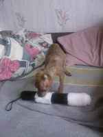 Img1AA9018C.webp
