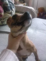 Img6B8D02F4.webp