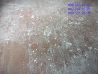 DSCF2938.webp