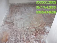 DSCF4933.webp