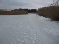 роен 010.jpg