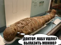 nasirov-mumy.webp