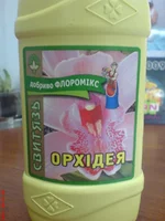 .webp