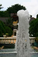 IMG_0842[1].webp