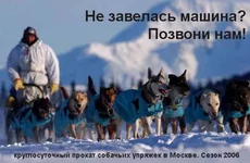 49662f7807ad3.webp