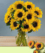 sunflowers11.jpg