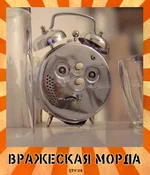 морда_preview.jpg