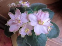 IMG_0322 (2).webp