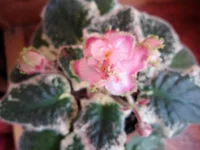 IMG_0363 (2).webp