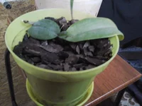 20170319_170140.webp