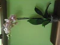 20170321_183923.webp