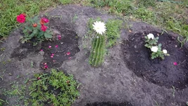IMG_20160710_194312.webp