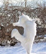  скоро.webp